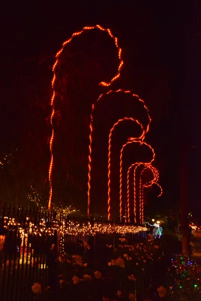 DSC_5781 (Large).JPG